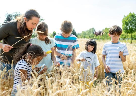 Des enfants dans un champ avec leur enseignant