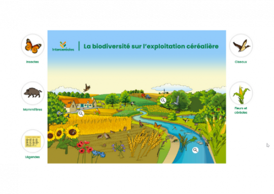 Poster sur La biodiversité sur l'exploitation céréalière