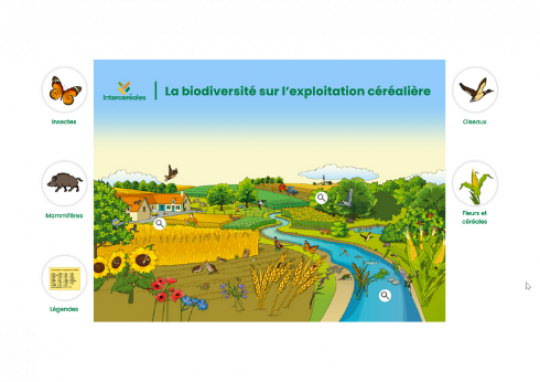 Poster sur La biodiversité sur l'exploitation céréalière Poster sur La biodiversité sur l'exploitation céréalière