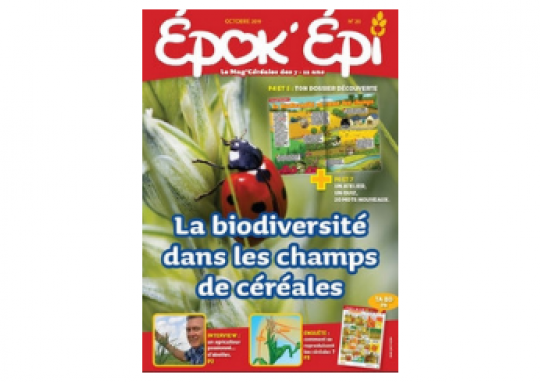 EPOK'EPI N°20 : LA BIODIVERSITÉ DANS LES CHAMPS DE CÉRÉALES