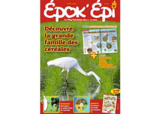 EPOK'EPI N°26 : la grande famille des céréales