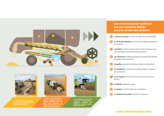 Comment fonctionne une moissoneuse-batteuse ?