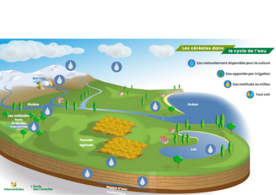 le cycle de l'eau le cycle de l'eau