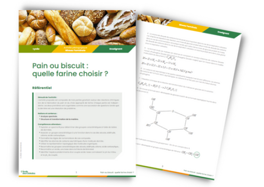 Pain ou biscuit : quelle farine choisir ?