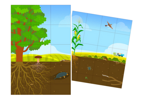 La fiche ressource sur le puzzle du sol