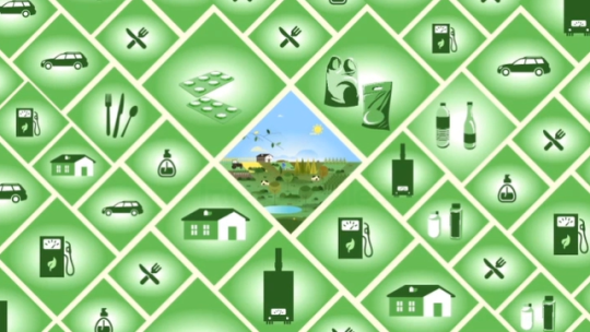 Qu'est-ce que la biomasse ? Qu'est-ce que la biomasse ?